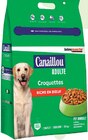 Croquettes pour chien adulte riche en boeuf - CANAILLOU en promo chez Intermarché Hyper Croquettes pour chien adulte riche en boeuf - CANAILLOU dans le catalogue Intermarché Hyper