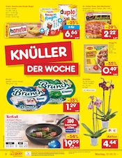 Fast Food im Netto Marken-Discount Prospekt in Schwerin Aktueller Netto Marken-Discount Prospekt mit Fast Food, "Aktuelle Angebote", Seite 2