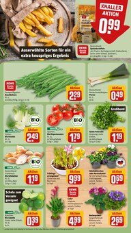 Stiefmütterchen im REWE Prospekt "Dein Markt" mit 26 Seiten (Darmstadt)