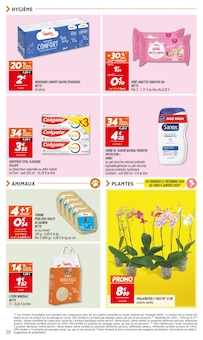 Promo Bricolage dans le catalogue Netto du moment à la page 20