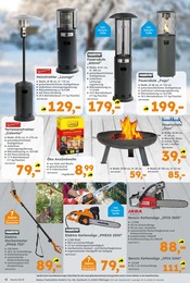 Grill Angebot im aktuellen Globus-Baumarkt Prospekt auf Seite 13