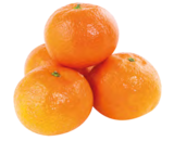 Clémentine Berkane à Provenc’halles dans Varacieux