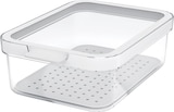 Kühlschrankorganizer mit Deckel & Einsatz, transparent (1,2 l) von rotho im aktuellen dm-drogerie markt Prospekt