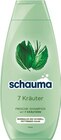 Shampoo Angebote von Schauma bei Netto mit dem Scottie Potsdam für 1,49 €