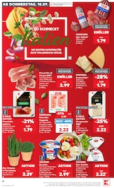 Schinken im Kaufland Prospekt in Esslingen Aktueller Kaufland Prospekt mit Schinken, "Hier bin ich richtig", Seite 16
