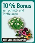Angebot im REWE Ingelheim (Rhein) Prospekt REWE Ingelheim (Rhein) Prospekt mit im Angebot für