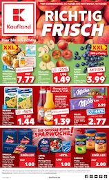 Kaufland Prospekt für Tholey mit 64 Seiten Kaufland Prospekt für Tholey: "Aktuelle Angebote", 64 Seiten, 06.11.2025 - 12.11.2025