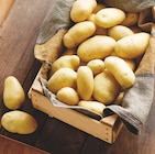 Intermarché Super Rochetaillée-sur-Saône - Promo Pommes de terre de consommation Promo Pommes de terre de consommation à 1,49 € dans le catalogue Intermarché Super à Rochetaillée-sur-Saône