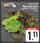 Multicolorsalat im Angebot bei EDEKA in Bielefeld Multicolorsalat Angebote von meinLand EDEKA bei EDEKA Bielefeld für 1,11 €