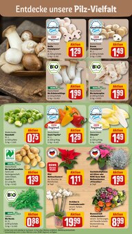 Zimmerpflanzen im aktuellen REWE Prospekt (Nürnberg) Zimmerpflanzen im REWE Prospekt "Dein Markt" mit 26 Seiten (Nürnberg)