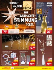 Aktueller Netto Marken-Discount Prospekt mit Gartendeko, "Aktuelle Angebote", Seite 30