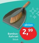 Aktuelles Bambus-Kehrset Angebot bei budni in Hamburg ab 2,99 €