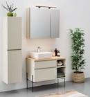 Hochschrank Antea von welnova im aktuellen XXXLutz Möbelhäuser Prospekt