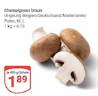 Champignons braun im Angebot bei GLOBUS in Salzgitter Champignons braun Angebote bei GLOBUS Salzgitter für 1,89 €