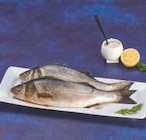 Bar d'aquaculture - Super U à Dunkerque Bar d'aquaculture en promo chez Super U Dunkerque à 9,95 €