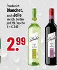 Blanc von Blanchet im aktuellen Trinkgut Prospekt für 2,99 €