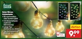 Aktuelles Solar Birnen Lichterkette Angebot bei Netto Marken-Discount in Bremen ab 9,99 €