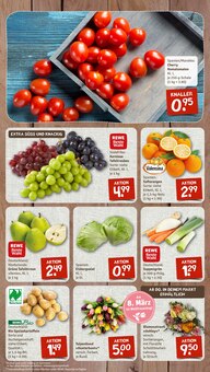 Kartoffeln im nahkauf Prospekt "nichts liegt näher" mit 12 Seiten (Dresden)