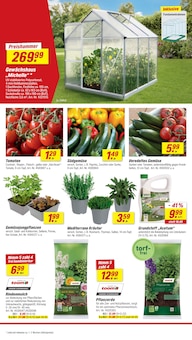 Tomaten im toom Baumarkt Prospekt "Respekt, wer's selber macht." mit 32 Seiten (Braunschweig)