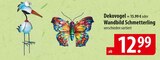 Dekovogel oder Wandbild Schmetterling im Angebot bei famila Nordost in Langenhagen Dekovogel oder Wandbild Schmetterling Angebote bei famila Nordost Langenhagen für 12,99 €