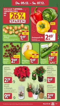 Zucchini Angebot im aktuellen ALDI Nord Prospekt auf Seite 29