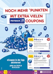 Leuchtmittel im Netto Marken-Discount Prospekt in Freiburg Aktueller Netto Marken-Discount Prospekt mit Leuchtmittel, "Aktuelle Angebote", Seite 66