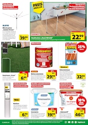 Aktueller Hagebaumarkt Prospekt mit Alpina, "So günstig geht das!", Seite 13