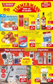 Zimmermann Prospekt Mehr als Du denkst! mit 10 Seiten