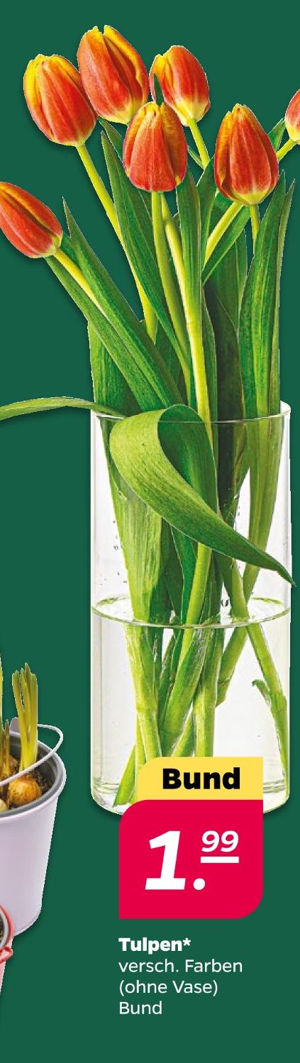 Tulpen