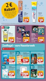 Hundefutter Angebot im aktuellen REWE Prospekt auf Seite 19