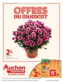 Catalogue Auchan Supermarché à La Brède cette semaine, valable du 20/10/2026 au 24/10/2026 Prospectus Auchan Supermarché à La Brède, "OFFRES DU MOMENT", 20 pages de promos valables du 20/10/2026 au 24/10/2026