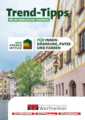 Aktueller Götz + Moriz Baumarkt Prospekt in Schwanau und Umgebung, "Trend-Tipps FÜR DIE ENERGETISCHE SANIERUNG" mit 7 Seiten, 01.11.2024 - 10.11.2024