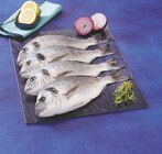 Daurade royale d'aquaculture - Super U à Valence Daurade royale d'aquaculture en promo chez Super U Valence à 3,20 €