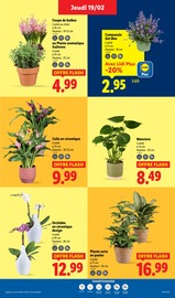 Orchidée Angebote im Prospekt "LIDL SOUTIENT LES PRODUCTEURS FRANÇAIS" von Lidl Orchidée Angebote im Prospekt "LIDL SOUTIENT LES PRODUCTEURS FRANÇAIS" von Lidl auf Seite 29