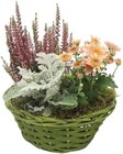 Herbstkorb im Angebot bei REWE in Witten Herbstkorb Angebote bei REWE Witten für 9,99 €