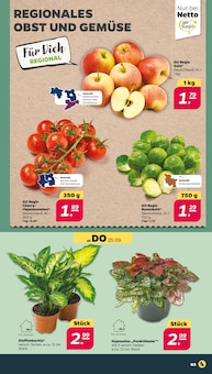 Tomaten im Netto mit dem Scottie Prospekt "Günstig. Besser. Für Dich." mit 36 Seiten (Potsdam)