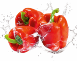 Paprika rot im Angebot bei Netto Marken-Discount in Ratingen Paprika rot Angebote bei Netto Marken-Discount Ratingen für 0,49 €
