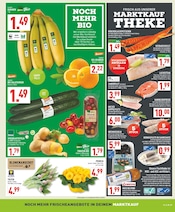 Aktueller Marktkauf Prospekt mit Garten, "Aktuelle Angebote", Seite 7