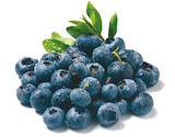Heidelbeeren im aktuellen Netto mit dem Scottie Prospekt