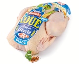 Poulet Blanc Les Fermiers de Loué à Colruyt dans Méziré