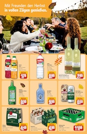 Aktueller REWE Prospekt mit Gin, "Dein Markt", Seite 17