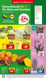 Lidl Orchidee im Prospekt 