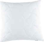 Aktuelles Kissen Angebot bei ROLLER in Mainz ab 14,99 €