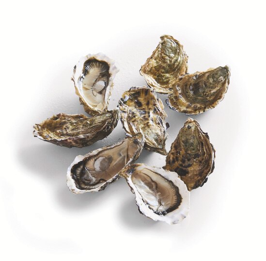 Huîtres creuses de Bretagne N°3 ouverture facile FILIERE QUALITE CARREFOUR  : la bourriche de 24 huîtres à Prix Carrefour