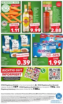 Katzenfutter im Kaufland Prospekt "KNÜLLER" mit 58 Seiten (Magdeburg)