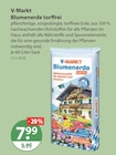 Aktuelles Blumenerde torffrei Angebot bei V-Markt in Regensburg ab 7,99 €
