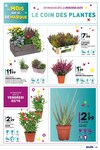 Le Pain Des Fleurs Le Pain Des Fleurs