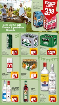 Erdinger im REWE Prospekt "Dein Markt" mit 34 Seiten (Halle (Saale))