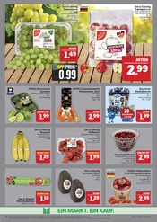 Erdbeeren im Marktkauf Prospekt in Coburg Aktueller Marktkauf Prospekt mit Erdbeeren, "GANZ GROSS in kleinsten Preisen!", Seite 8