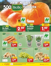Aktueller Netto Marken-Discount Prospekt mit Kürbis, "Aktuelle Angebote", Seite 6